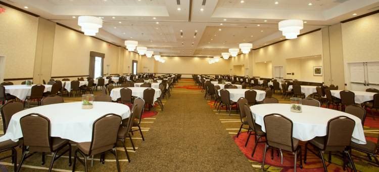 圣安东尼奥-利夫奥克会议中心希尔顿花园酒店(Hilton Garden Inn San Antonio/Live Oak)图片