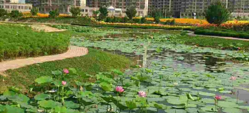 云霞小镇公寓(长白山北纬店)图片