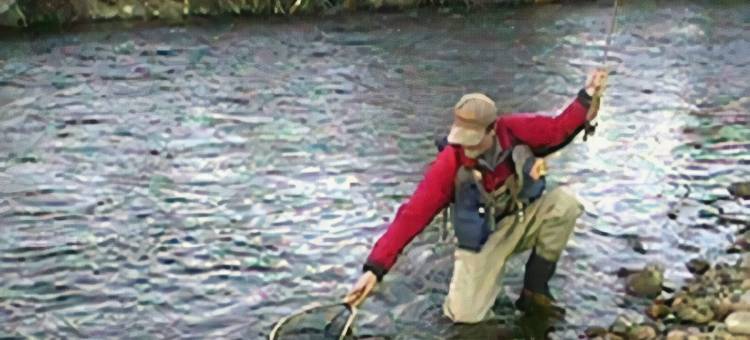 普罗沃河旅馆(Provo River Inn)图片