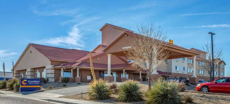 洛兹堡 I-10 舒适套房酒店(Comfort Inn & Suites Lordsburg I-10)图片