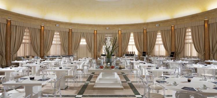 TH罗马-卡佩尼亚宫酒店(TH Roma - Carpegna Palace)图片