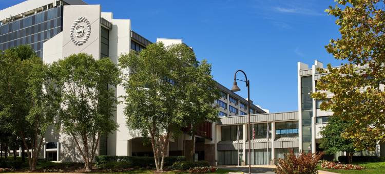莱斯顿喜来登酒店(Sheraton Reston Hotel)图片