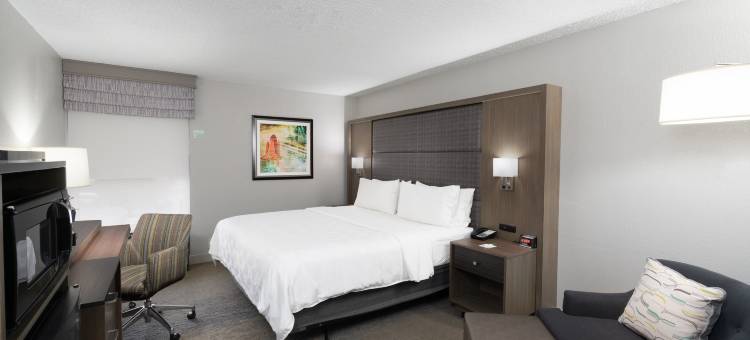 Holiday Inn 亨茨维尔，研究园区(Holiday Inn HUNTSVILLE-RESEARCH PARK by IHG)图片