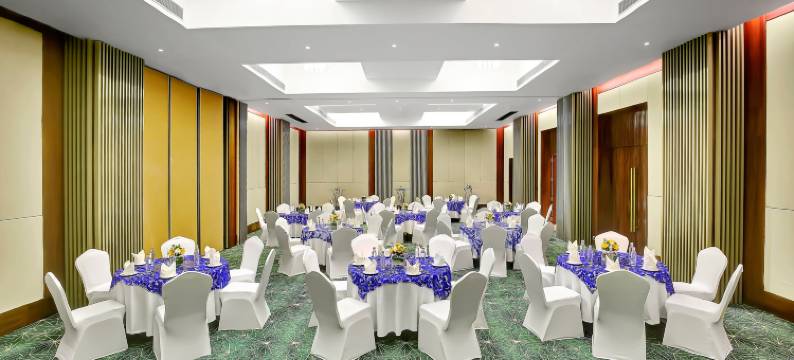 果阿坎多林假日酒店(Holiday Inn GOA CANDOLIM by IHG)图片