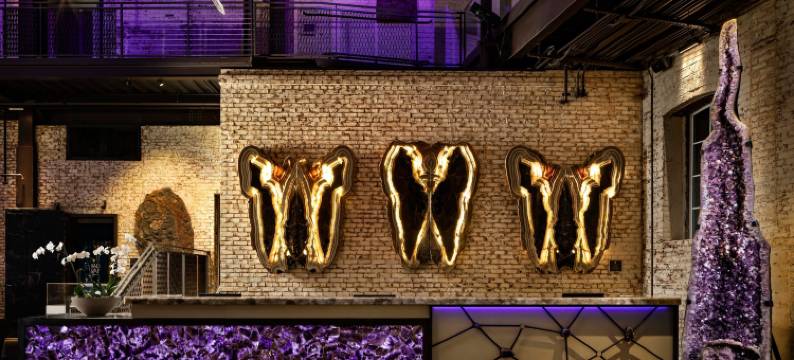 萨凡纳植物河滨区 JW 万豪酒店(JW Marriott Savannah Plant Riverside District)图片