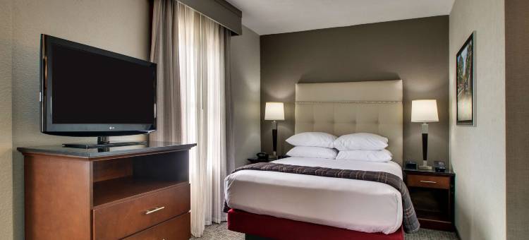 西北医疗中心德鲁里套房酒店(Drury Inn & Suites San Antonio Northwest Medical Center)图片