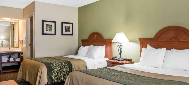 舒适酒店客栈松树林I-81赫尔希地区(Comfort Inn Pine Grove I-81 Hershey Area)图片