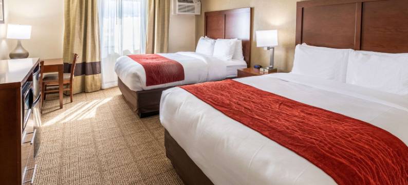 舒适酒店(Comfort Inn)图片