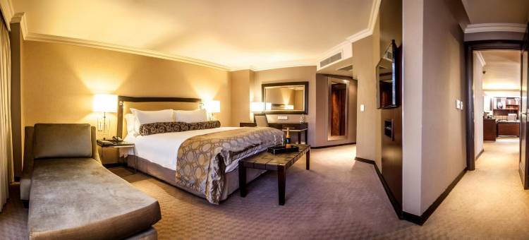 南孙比勒陀利亚酒店(Southern Sun Pretoria)图片