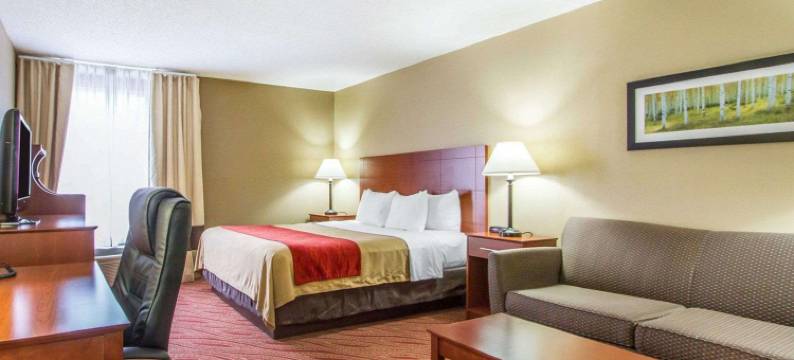 波普勒布拉夫北舒适酒店(Comfort Inn Poplar Bluff North)图片