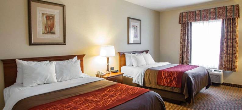 哈里森维尔舒适套房酒店(Comfort Inn & Suites Harrisonville)图片