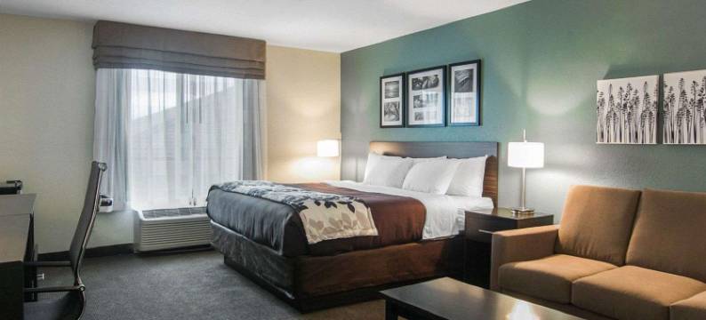 道奇堡舒眠套房酒店(Sleep Inn & Suites Fort Dodge)图片