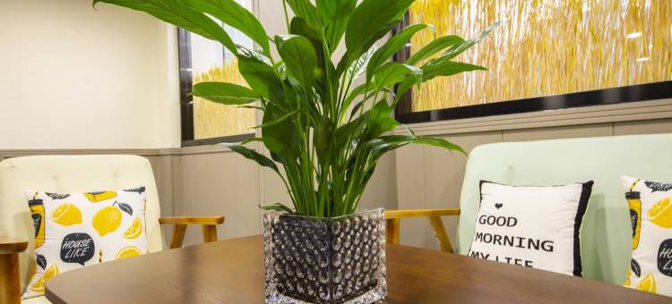 房东小壳壳公寓(枣园东路分店)图片