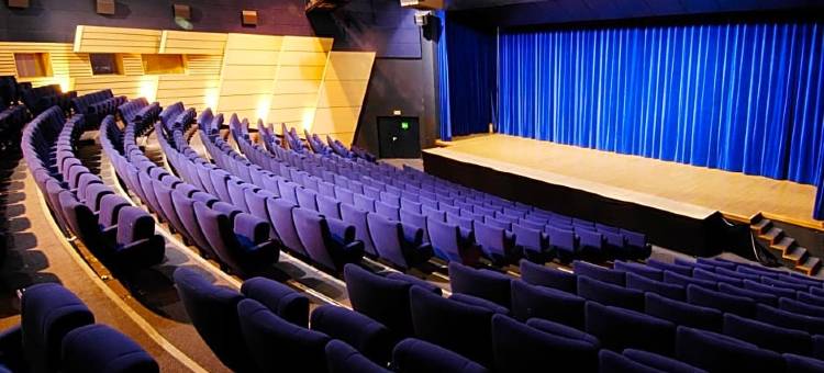 拉迪亚纳酒店(Hotel & Spa Radiana)图片