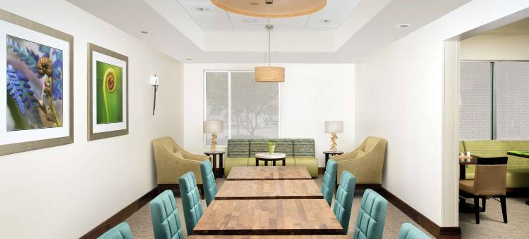 圣安东尼奥机场南希尔顿花园酒店(Hilton Garden Inn San Antonio Airport South, TX)图片