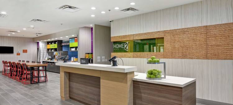 麦金尼希尔顿惠庭酒店(Home2 Suites by Hilton McKinney)图片