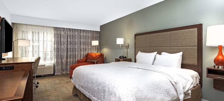 佛罗伦萨中心欢朋套房酒店(Hampton Inn & Suites by Hilton Florence Center)图片