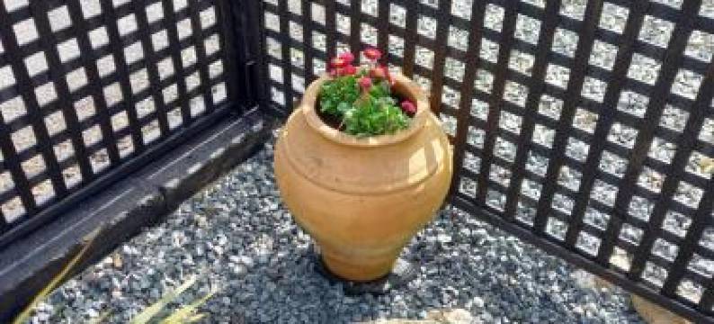 Stargazy Shepherds Hut图片