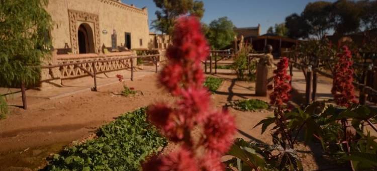 拉马达古堡露营酒店(Hotel Kasbah Bivouac Lahmada)图片