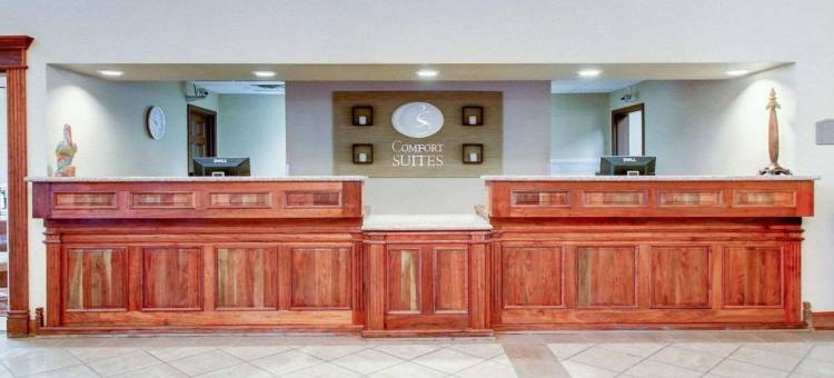 凯隆酒店(Clarion Suites)图片