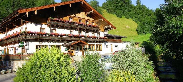 弗里德尔维尔特酒店 - Kraftplatz Natur(Friedlwirt-Kraftplatz Natur)图片