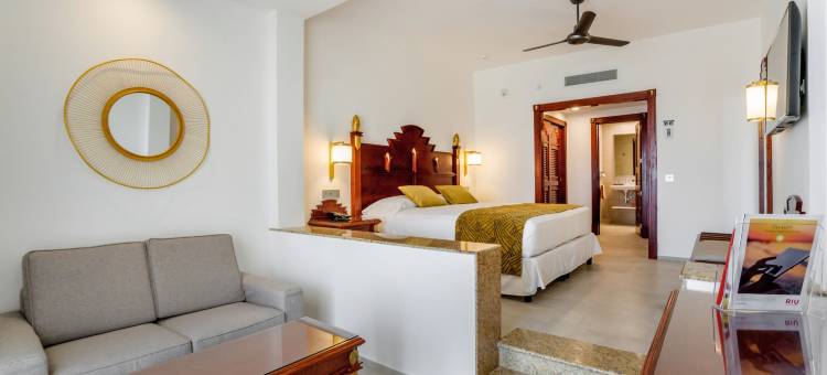 巴亚尔塔悦宜湾酒店-全包(Riu Vallarta - All Inclusive)图片