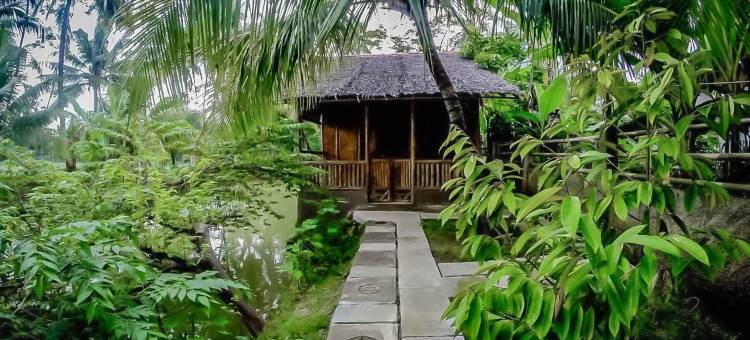 巴勒库竹子休闲酒店(Baleku Bamboo Retreat)图片