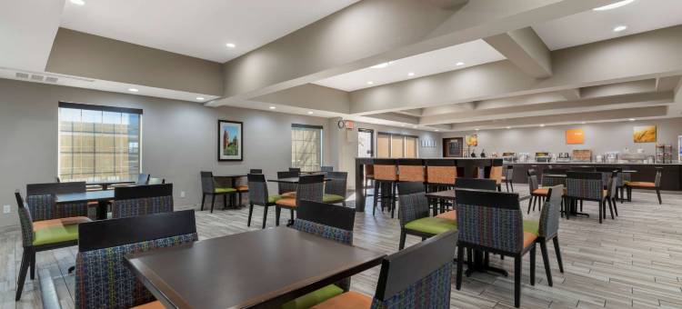 舒适套房酒店-近医疗中心(Comfort Inn & Suites Near Medical Center)图片