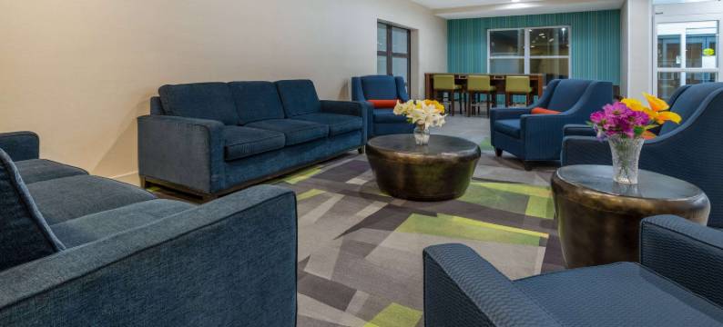 华尔道夫/华盛顿哥伦比亚特区蔚景温德姆酒店(Wingate by Wyndham Waldorf/Washington DC Area)图片