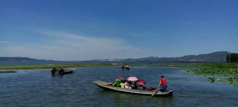 双福农家院(叫崔路分店)图片