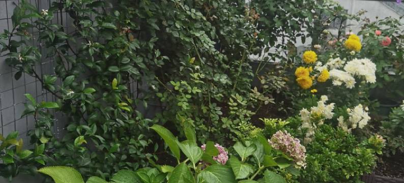 Yping公寓(尚书街分店)图片