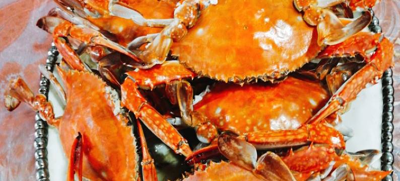 萍水相逢皆是缘度假别墅(城港南路分店)图片