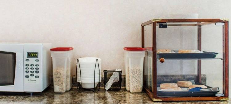 罗德威酒店(Rodeway Inn)图片