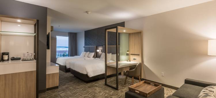 达拉斯罗克沃尔SpringHill Suites酒店(SpringHill Suites Dallas Rockwall)图片