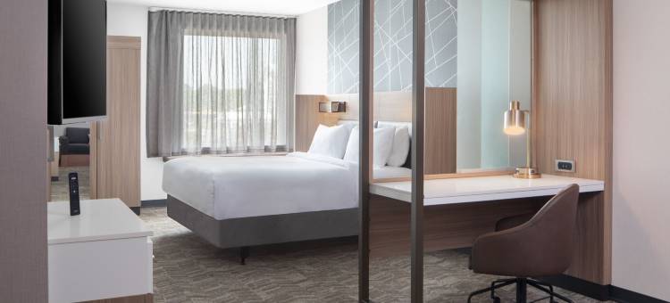 哥伦比亚近杰克逊堡万豪春丘酒店(SpringHill Suites Columbia Near Fort Jackson)图片