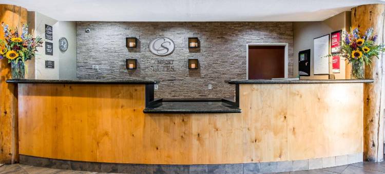 埃弗格林百汇金西舒适套房酒店(Comfort Suites Golden West on Evergreen Parkway)图片