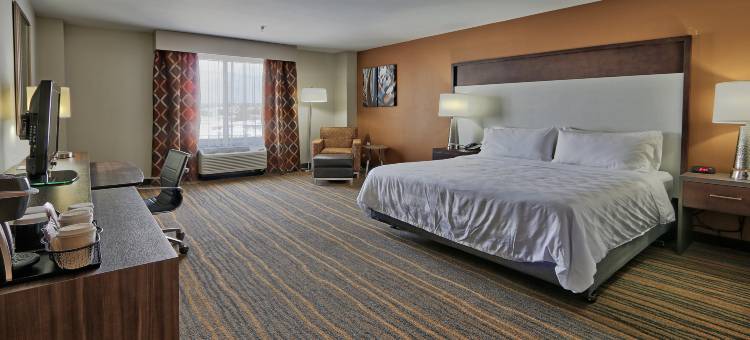 洲际酒店集团假日酒店及套房阿尔伯克基北I-25(Holiday Inn & Suites Albuquerque-North I-25)图片