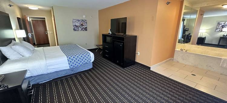 贝思贝斯特韦斯特优质套房酒店(Best Western Plus Bass Hotel  Suites)图片