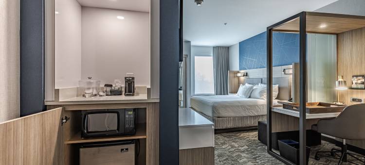 底特律斯特林海茨万豪SpringHill酒店(SpringHill Suites by Marriott Detroit Sterling Heights)图片