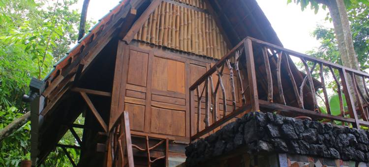 Villa Pohon Jogja图片