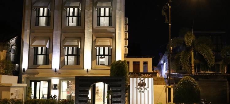 巴扬酒店(The Payang Hotel)图片