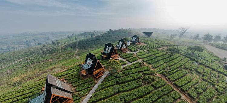 尼莫茶园度假村(Nimo Tea Resort)图片