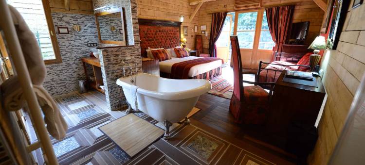 博伊斯涅德城堡酒店(Chateau du Boisniard)图片