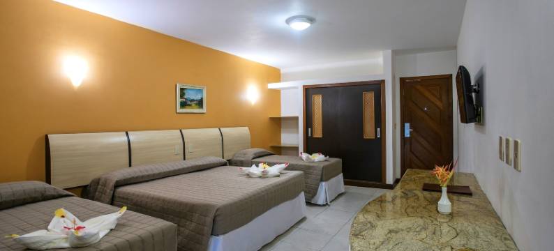 布里萨达普拉亚公园酒店(Brisa da Praia Park Hotel)图片