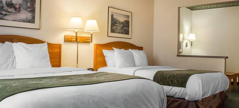 北凤凰城呗盟酒店(Baymont by Wyndham Phoenix North)图片