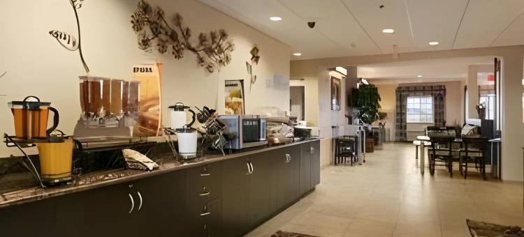 Microtel Inn & Suites by Wyndham Stanley图片