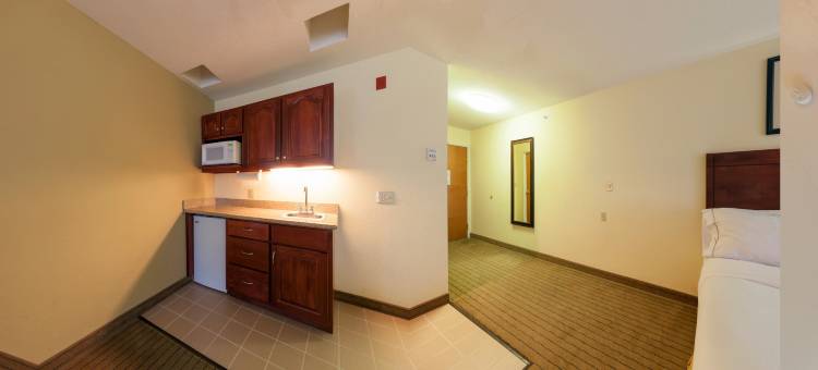 智选假日套房酒店东兰辛(Holiday Inn Express & Suites East Lansing)图片