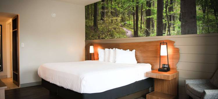 Best Western Tree City Inn图片