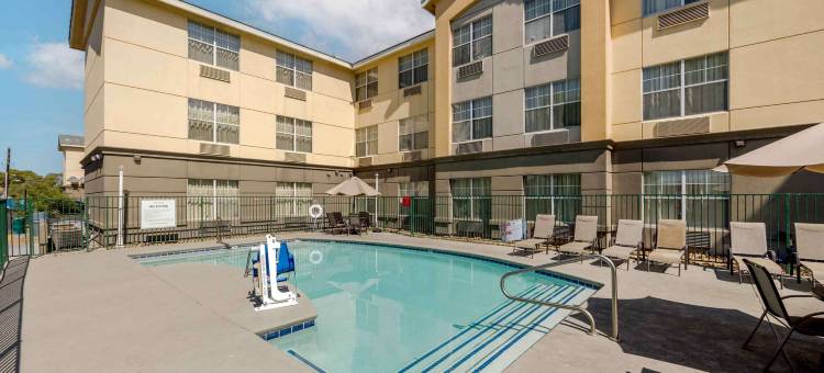 美洲长住套房酒店-拉斯维加斯火烈鸟(MainStay Suites Las Vegas Flamingo)图片