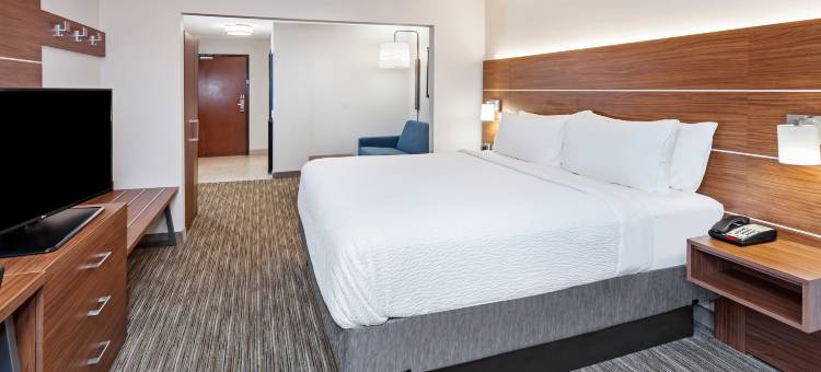 智选假日套房酒店芝加哥南兰辛(Holiday Inn Express & Suites Chicago South Lansing)图片